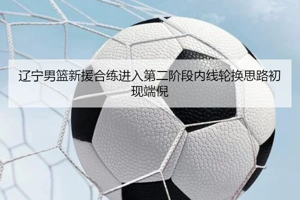 辽宁男篮新援合练进入第二阶段内线轮换思路初现端倪（XCSPORT）